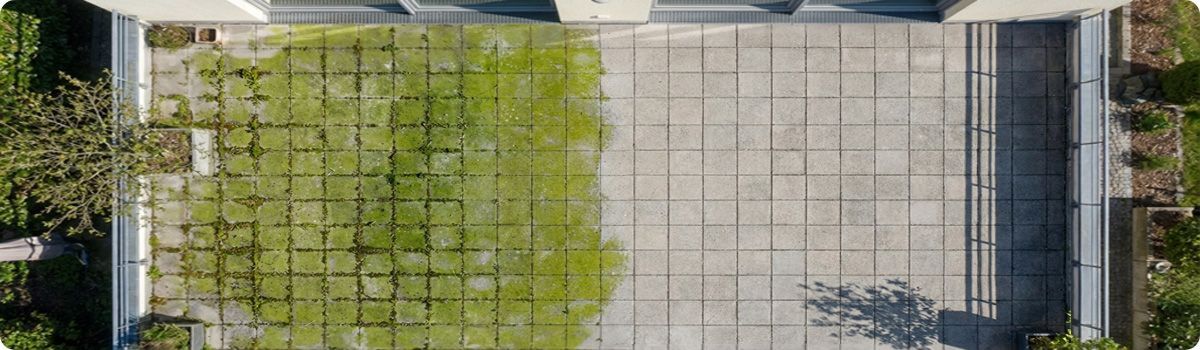 Voor en na het verwijderen van groene aanslag